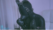 黒マンバ + ヒューマノイド犬

